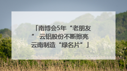 南博会5年“老朋友” 云铝股份不断擦亮云南制造“绿名片”
