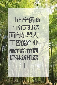 南宁侨商：南宁打造面向东盟人工智能产业高地给侨商提供新机遇
