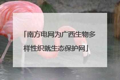 南方电网为广西生物多样性织就生态保护网