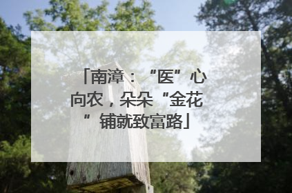 南漳：“医”心向农，朵朵“金花”铺就致富路