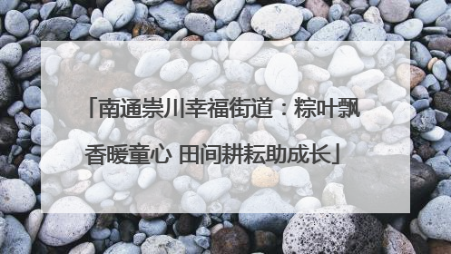 南通崇川幸福街道：粽叶飘香暖童心 田间耕耘助成长