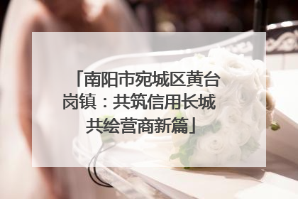 南阳市宛城区黄台岗镇：共筑信用长城 共绘营商新篇