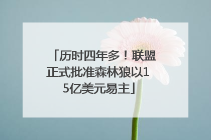 历时四年多！联盟正式批准森林狼以15亿美元易主