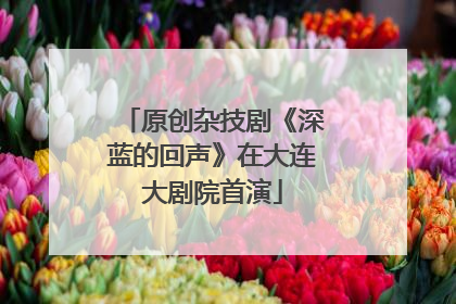 原创杂技剧《深蓝的回声》在大连大剧院首演