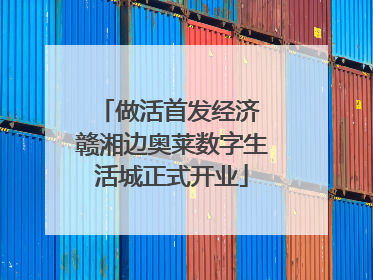 做活首发经济 赣湘边奥莱数字生活城正式开业