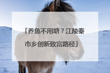 养鱼不用塘？江陵秦市乡创新致富路径