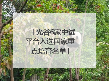 光谷6家中试平台入选国家重点培育名单