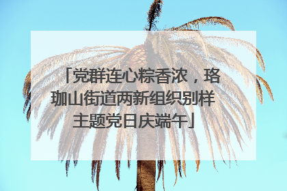 党群连心粽香浓，珞珈山街道两新组织别样主题党日庆端午