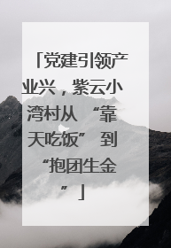 党建引领产业兴，紫云小湾村从 “靠天吃饭” 到 “抱团生金”