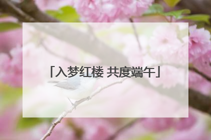 入梦红楼 共度端午