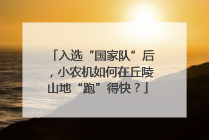 入选“国家队”后，小农机如何在丘陵山地“跑”得快？