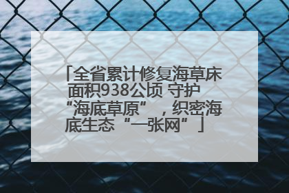 全省累计修复海草床面积938公顷 守护“海底草原”，织密海底生态“一张网”