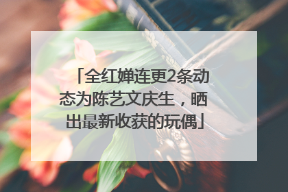 全红婵连更2条动态为陈艺文庆生，晒出最新收获的玩偶
