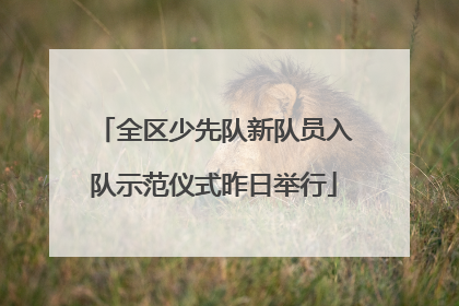 全区少先队新队员入队示范仪式昨日举行