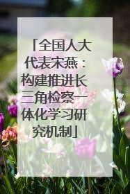 全国人大代表宋燕：构建推进长三角检察一体化学习研究机制