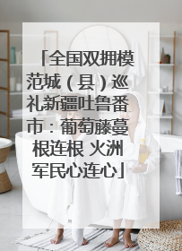 全国双拥模范城（县）巡礼新疆吐鲁番市：葡萄藤蔓根连根 火洲军民心连心