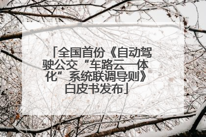 全国首份《自动驾驶公交“车路云一体化”系统联调导则》白皮书发布
