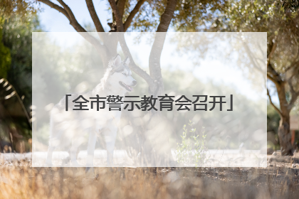 全市警示教育会召开