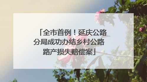 全市首例！延庆公路分局成功办结乡村公路路产损失赔偿案