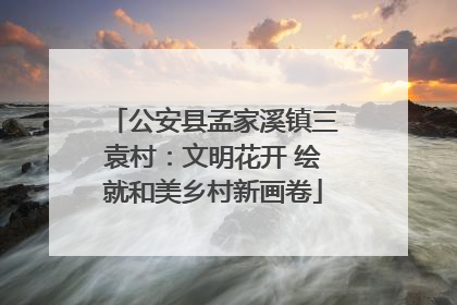 公安县孟家溪镇三袁村：文明花开 绘就和美乡村新画卷