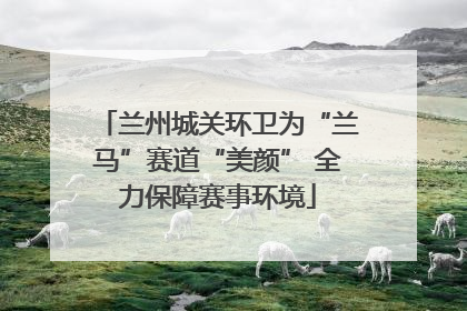 兰州城关环卫为“兰马”赛道“美颜” 全力保障赛事环境