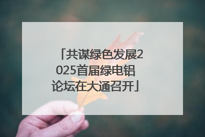 共谋绿色发展2025首届绿电铝论坛在大通召开