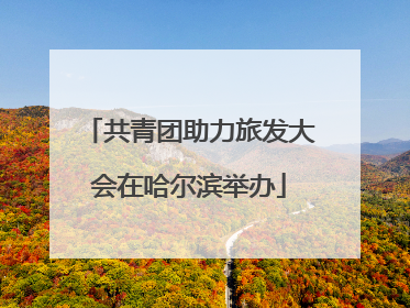 共青团助力旅发大会在哈尔滨举办
