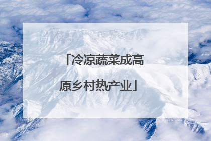 冷凉蔬菜成高原乡村热产业