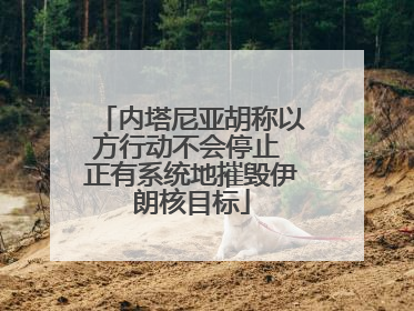 内塔尼亚胡称以方行动不会停止 正有系统地摧毁伊朗核目标