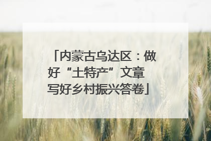 内蒙古乌达区：做好“土特产”文章 写好乡村振兴答卷