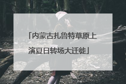 内蒙古扎鲁特草原上演夏日转场大迁徙