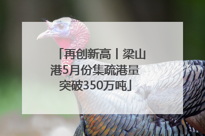 再创新高丨梁山港5月份集疏港量突破350万吨