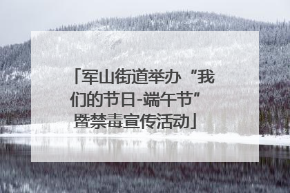 军山街道举办“我们的节日-端午节”暨禁毒宣传活动