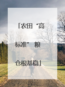 农田“高标准” 粮仓根基稳