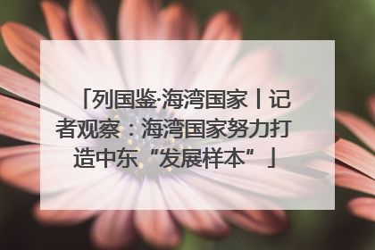 列国鉴·海湾国家丨记者观察：海湾国家努力打造中东“发展样本”
