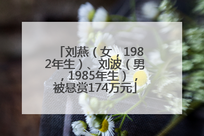 刘燕（女，1982年生）、刘波（男，1985年生），被悬赏174万元