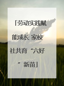 劳动实践赋能成长 家校社共育“六好”新苗