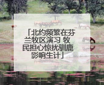 北约频繁在芬兰牧区演习 牧民担心惊扰驯鹿影响生计
