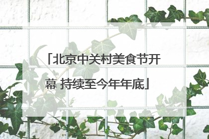北京中关村美食节开幕 持续至今年年底