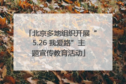 北京多地组织开展“5.26 我爱路”主题宣传教育活动