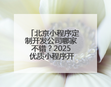 北京小程序定制开发公司哪家不错？2025 优质小程序开发公司之选
