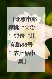 北京市郊樱桃“尖货”登录“北苑路88号”农产品市集