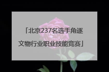 北京237名选手角逐文物行业职业技能竞赛