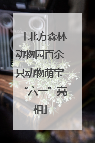 北方森林动物园百余只动物萌宝“六一”亮相