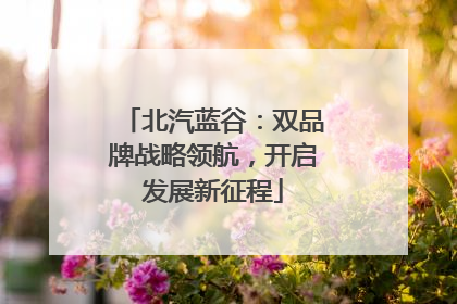 北汽蓝谷：双品牌战略领航，开启发展新征程