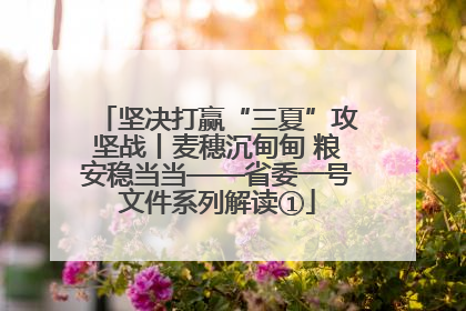 坚决打赢“三夏”攻坚战丨麦穗沉甸甸 粮安稳当当——省委一号文件系列解读①