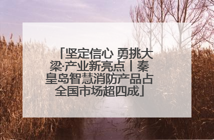 坚定信心 勇挑大梁·产业新亮点丨秦皇岛智慧消防产品占全国市场超四成