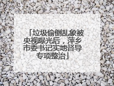 垃圾偷倒乱象被央视曝光后，萍乡市委书记实地督导专项整治