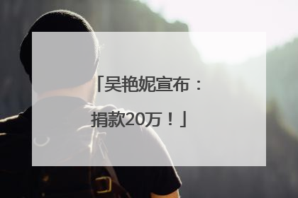 吴艳妮宣布：捐款20万！
