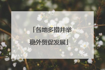各地多措并举稳外贸促发展